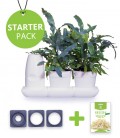 Starter Pack Minigarden Saladas e Aromáticas