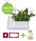 Starter Pack Minigarden Saladas e Aromáticas