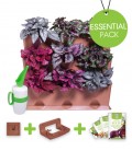 Essential Pack Minigarden Horta Vertical