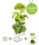 Starter Pack Minigarden Horta Vertical