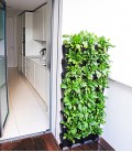 Minigarden Vertical Kitchen Garden