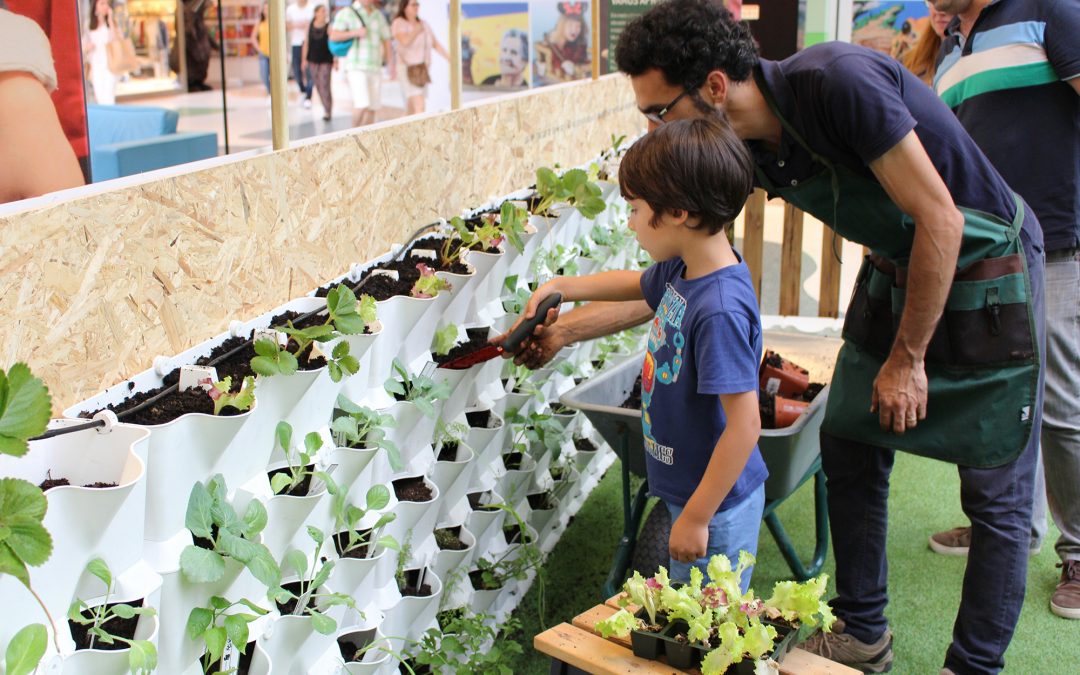 Workshops de Horticultura para crianças e adultos – Horta Vertical