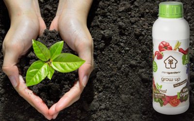 A importância da utilização de adubos biológicos para a fertilização de plantas na agricultura e jardinagem contemporânea